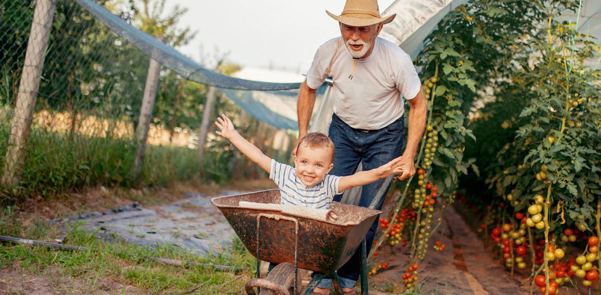BCC Roma. “Dal Sole alla Terra”. Un appuntamento dedicato al settore agricolo