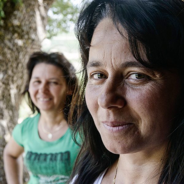 La scelta di allevare