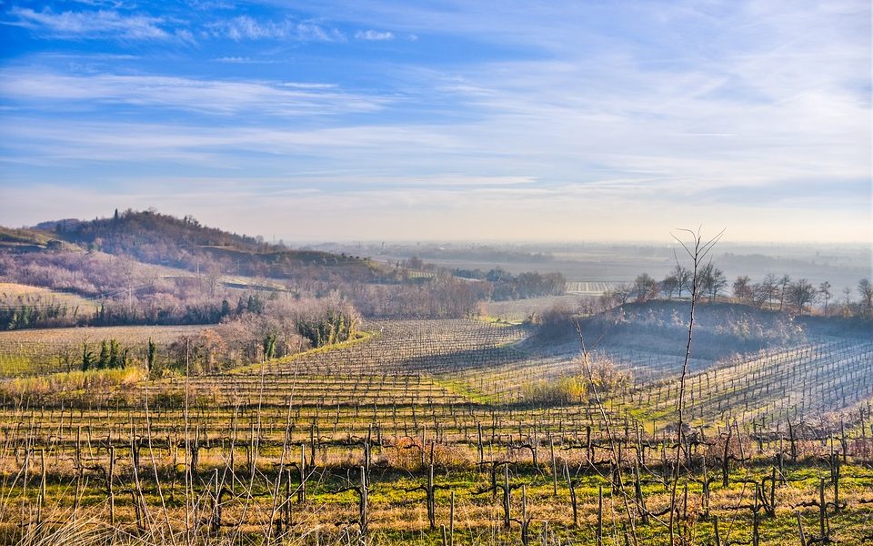 Quattro BCC delle province di Pordenone e Udine, accordo per dare liquidità alle imprese