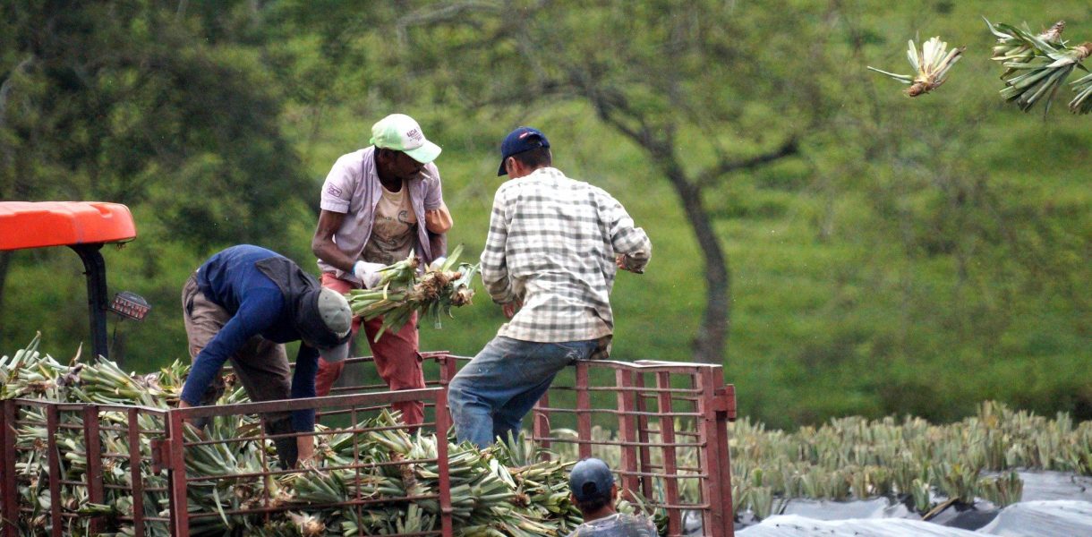 Progetto Togo: insieme per uno sviluppo agricolo durevole e inclusivo