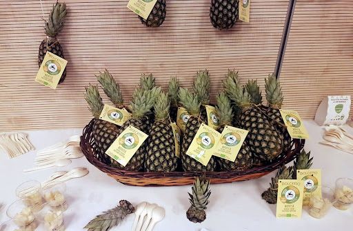 Macfrut2021. Alla ribalta l’ananas “solidale”, frutto cooperativo