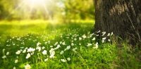 Banca Don Rizzo. L’ecologia e la sostenibilità in uno scatto. Online il concorso fotografico