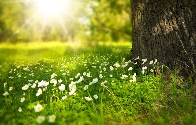 Banca Don Rizzo. L’ecologia e la sostenibilità in uno scatto. Online il concorso fotografico