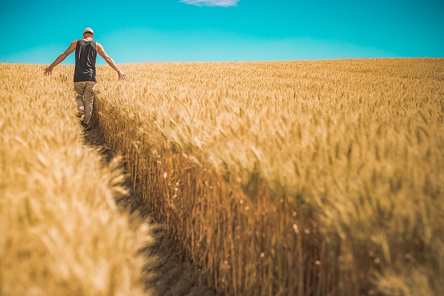 BancaTer. Finanziamento per le imprese agricole del territorio