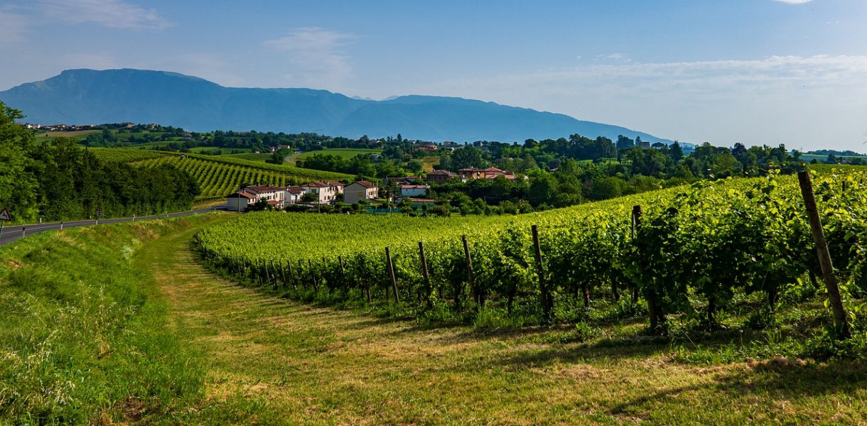 Federazione Nord Est. Bilancio 2021, continua il sostegno delle 5 BCC venete al territorio