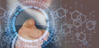 Dal Trentino il sostegno al Progetto Webfare