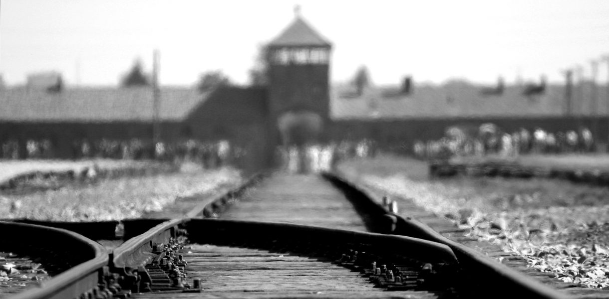 Giornata della Memoria: un volume dell’Ecra “per non dimenticare”