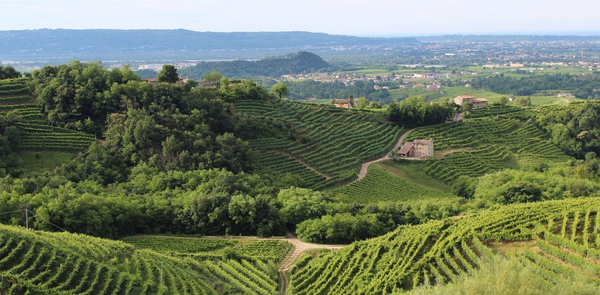 Banca della Marca. Una nuova filiale in provincia di Treviso