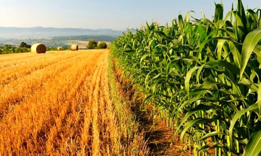 Quale futuro per la Politica Agricola comune?